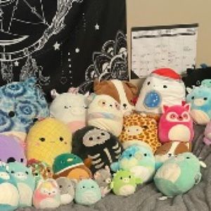 Rainbow squishmallow panda